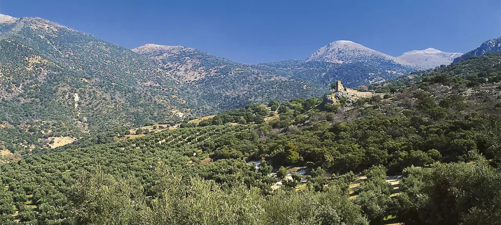 Sierra Magina Plastitec